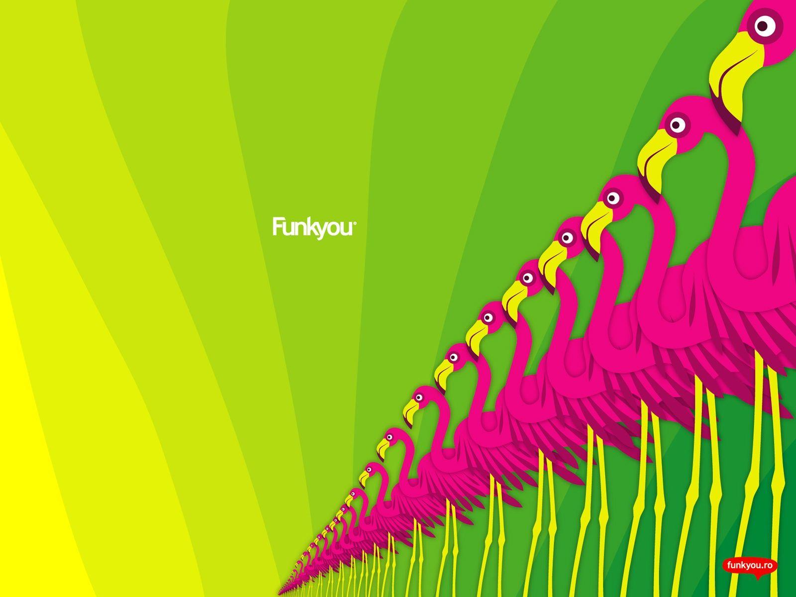 Funk Flamingo desktop PC and Mac wallpaper