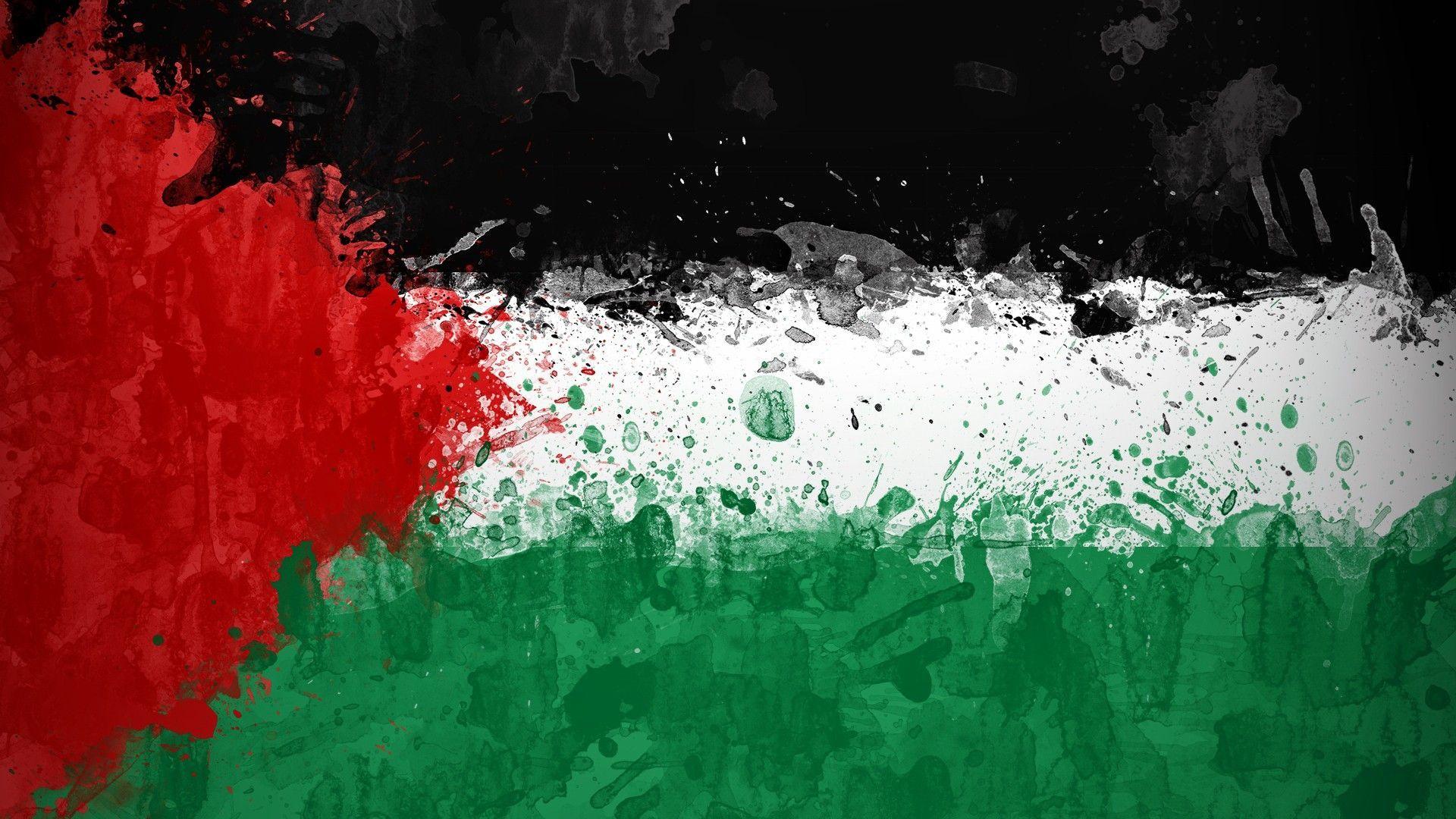 Palestine Flag wallpaper. Education. Palestine flag