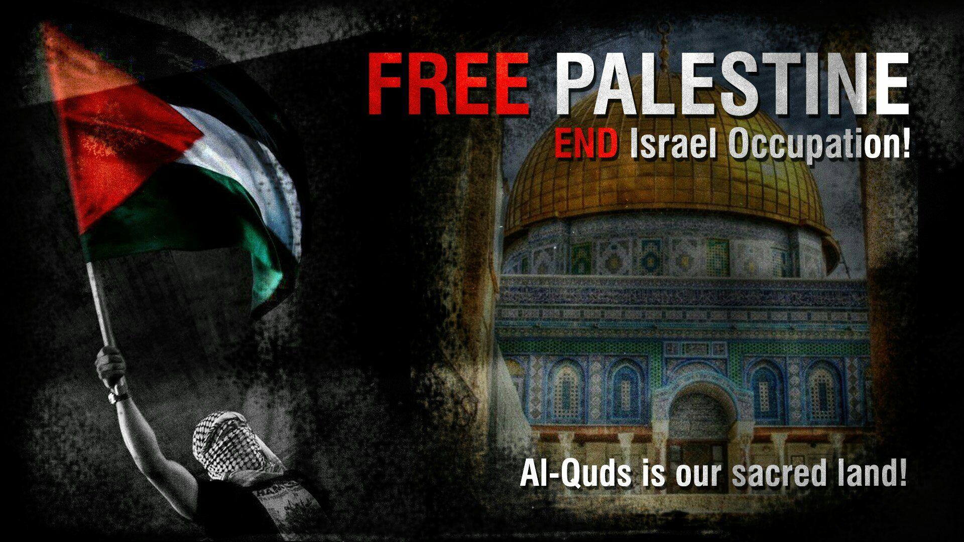 Freedom Palestine Wallpapers - Wallpaper Cave