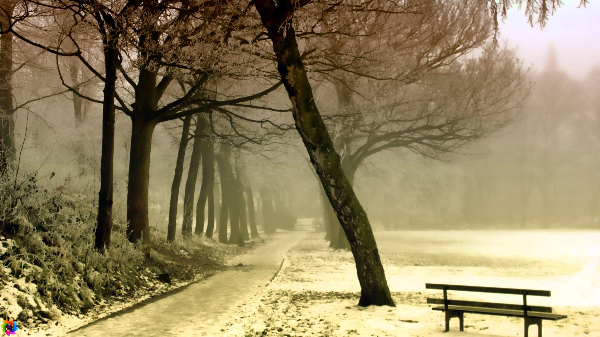 Relaxing Sad Music Violin and Piano. Instrumental Background Music