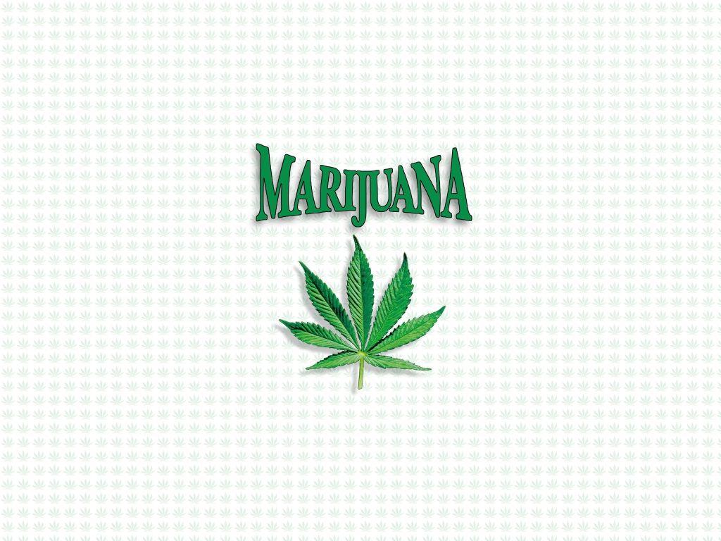 Marijuana A Wallpaper By Club Marijuana