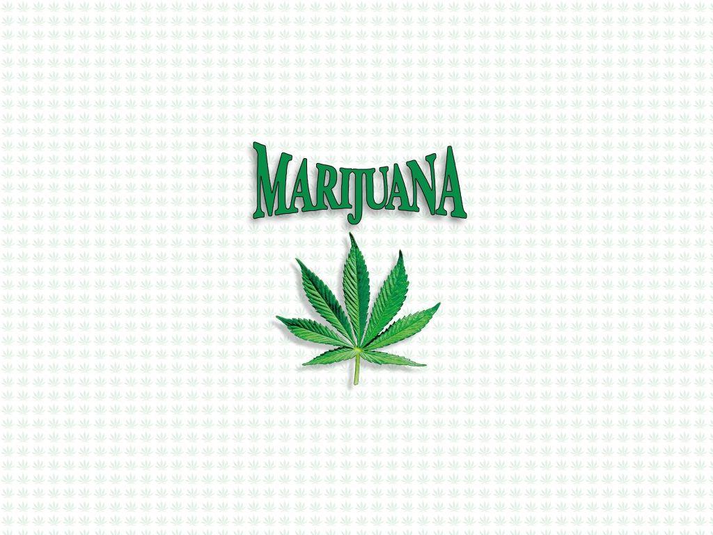 Marijuana A Wallpaper By Club Marijuana