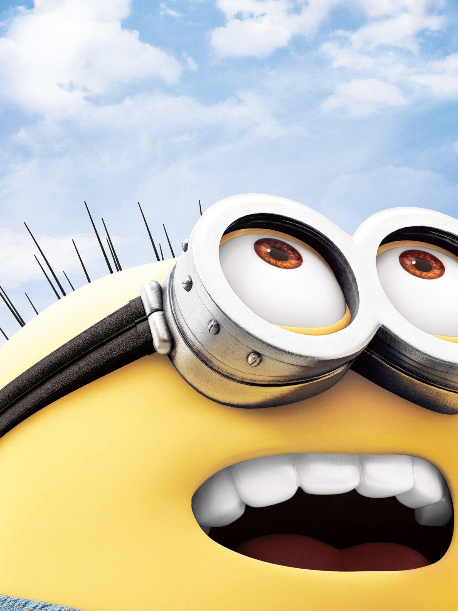 Minions HD wallpaper 2015 Wallpaper with HD resolution