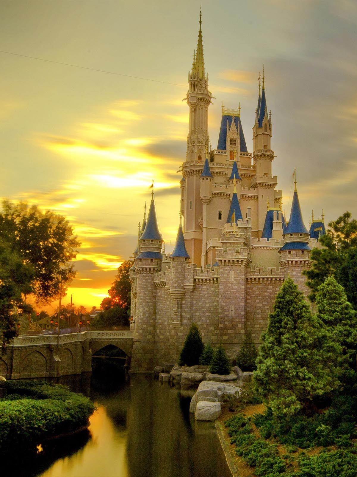 Cinderella Castle During Sunset HD Mobile Wallpaper Free