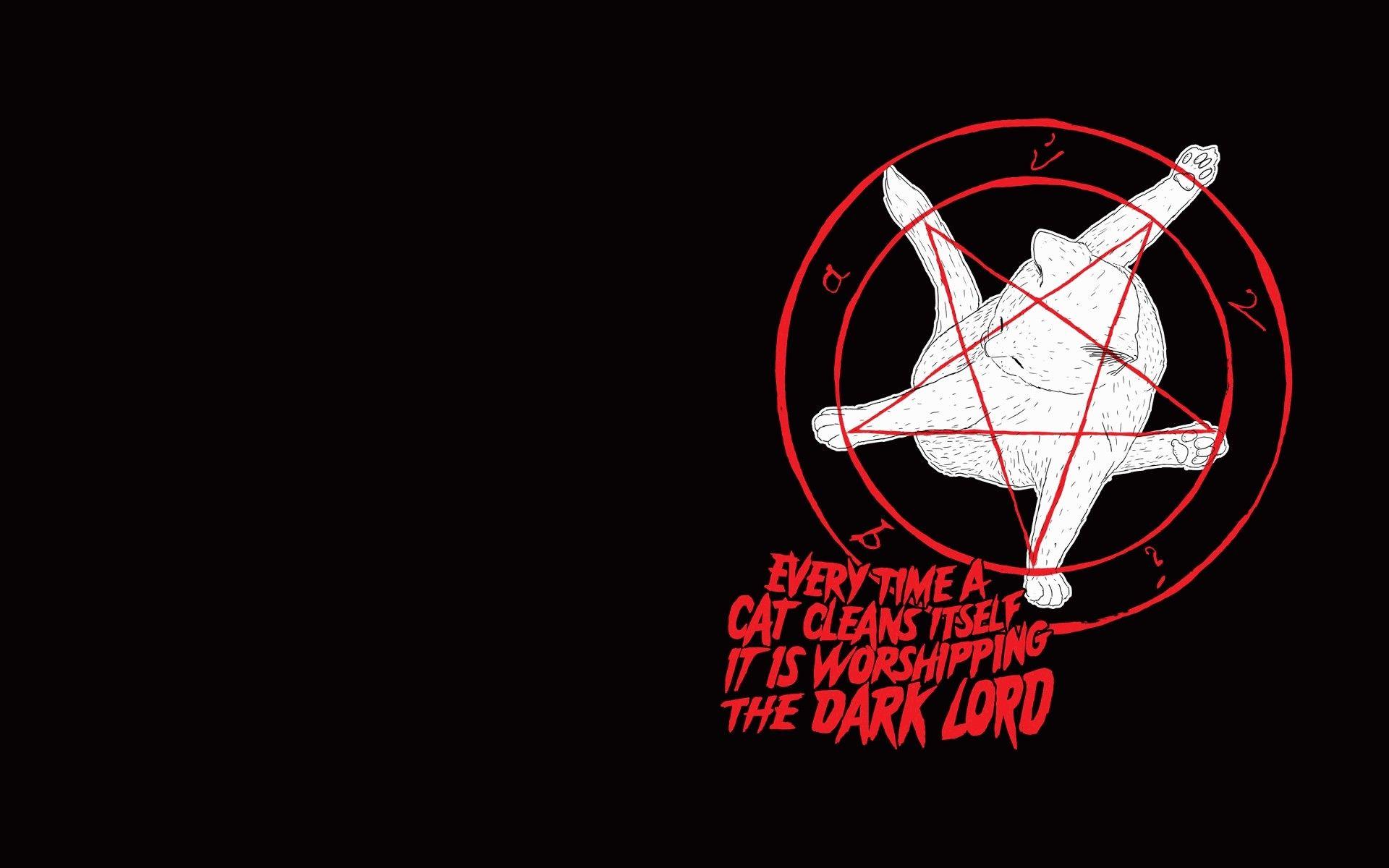 Cats pentagram satanism wallpaper. PC