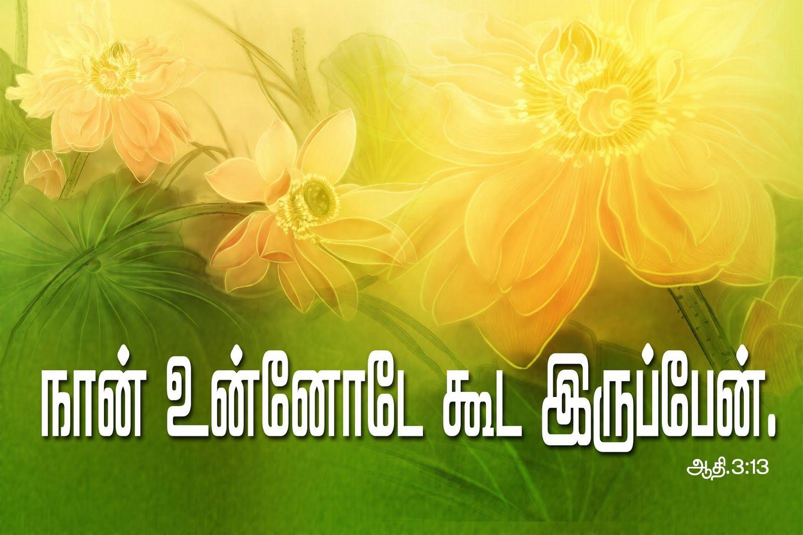 Download Full 4K Collection of Amazing Tamil Bible Vasanam Images – Top ...