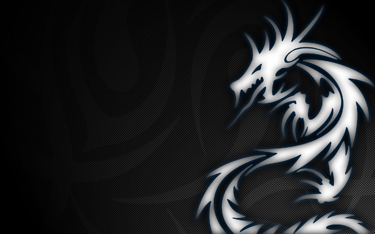 Black White Dragon Background Wallpaper 05971