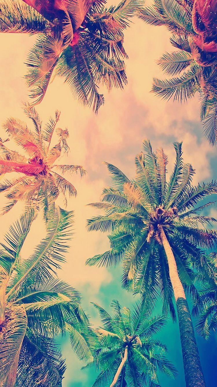 False Color Coconut Trees iPhone 6 Wallpaper / iPod Wallpaper HD
