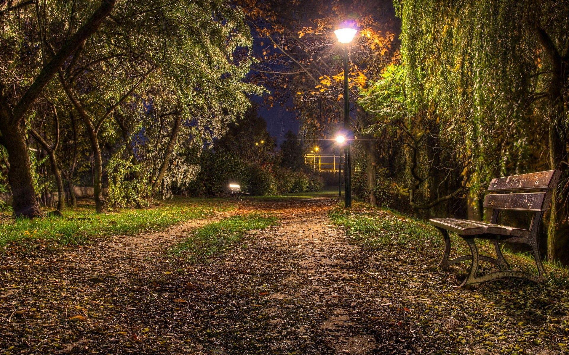 Nature Night Look and Bench Fantacy Wallpaper