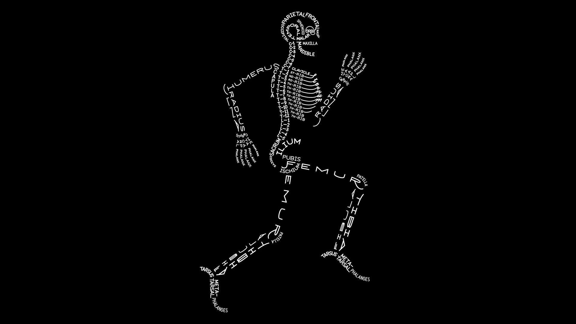 Skeleton With Bone Names Wallpaper. Skeletons, Nurse Stuff