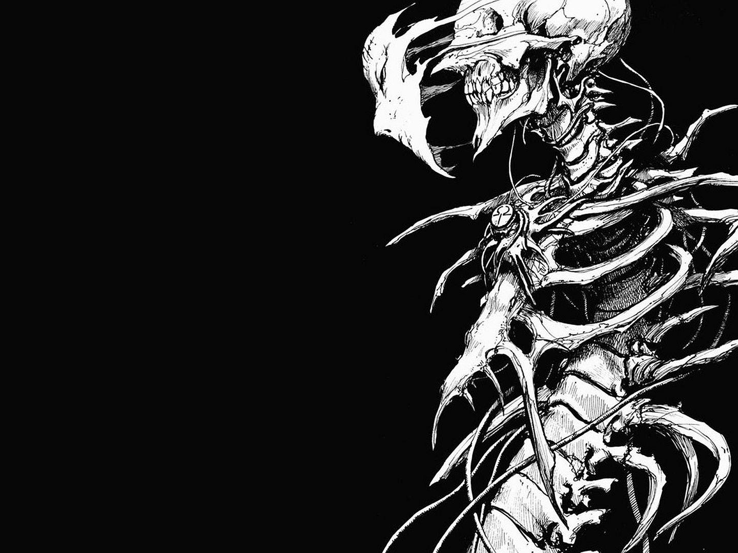 Skeleton Wallpaper and Background Imagex1080