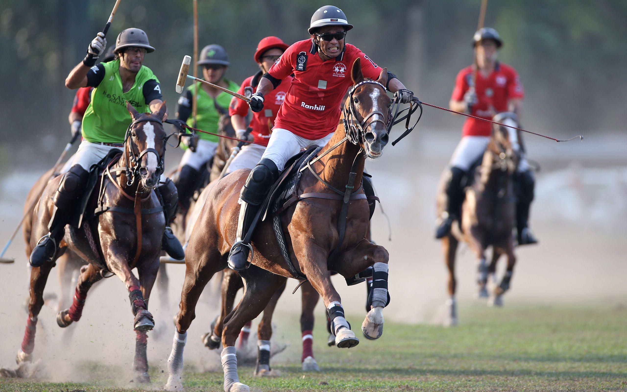 USPA Polo Horse Player Sport