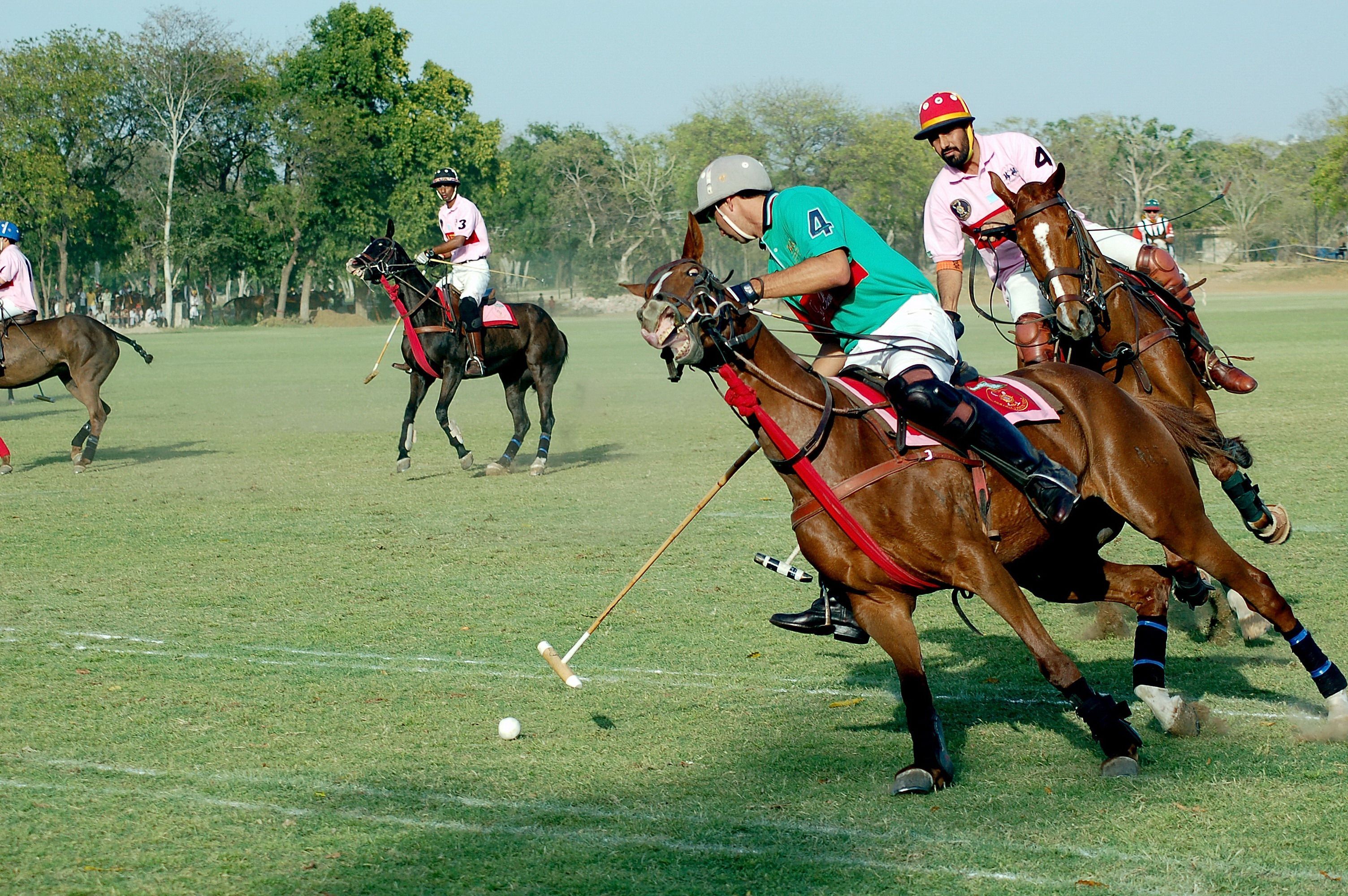 Horse Polo