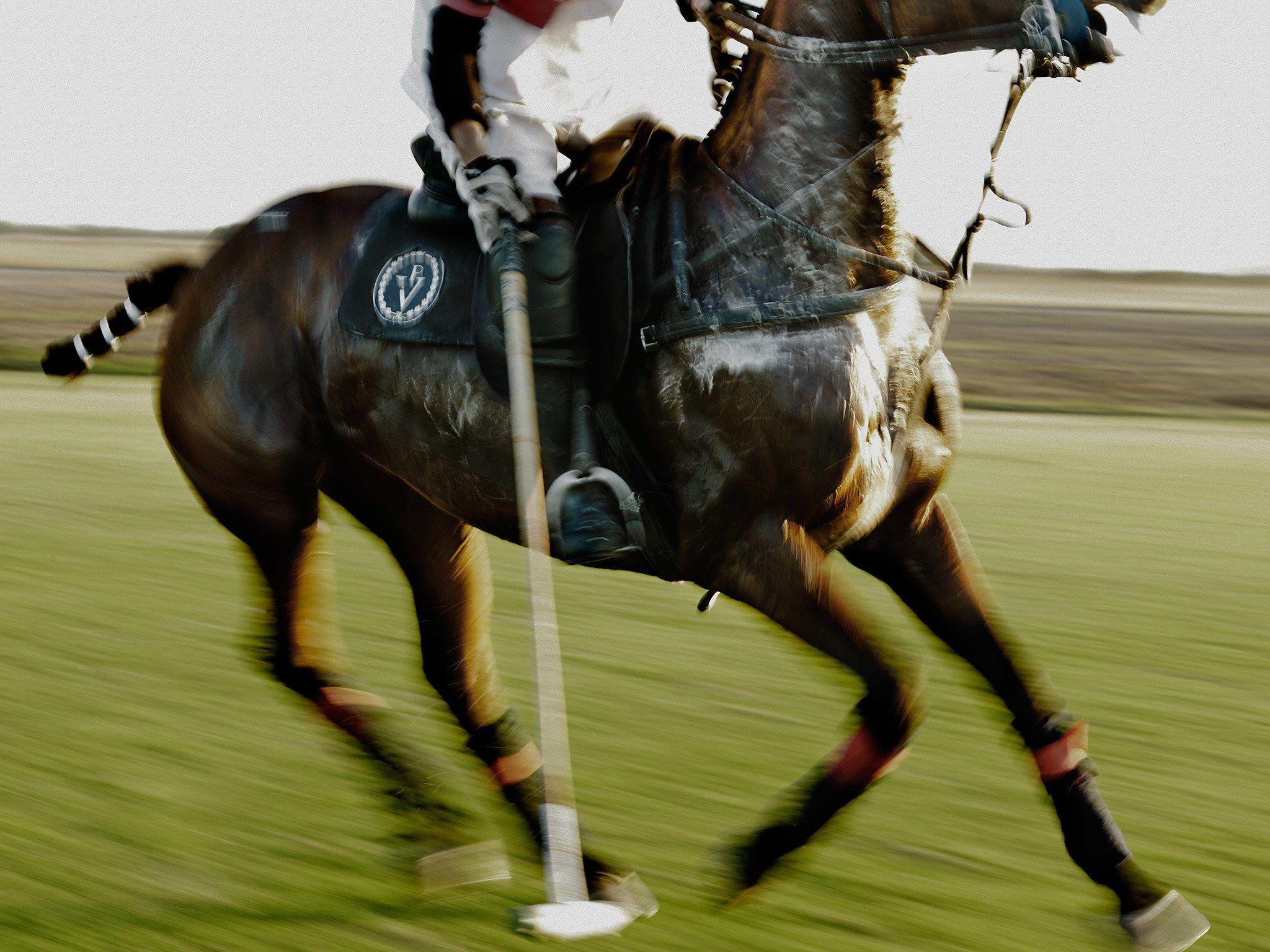 Horse Polo Wallpapers Wallpaper Cave