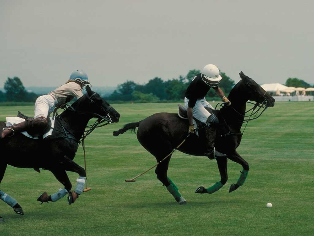 Polo Wallpaper, 50 Polo HD Wallpaper Background, GuoGuiyan
