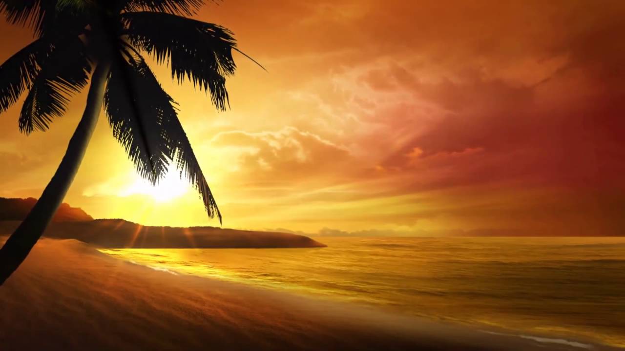 Cool Sunset Video Background With Music Loop by_ Zc