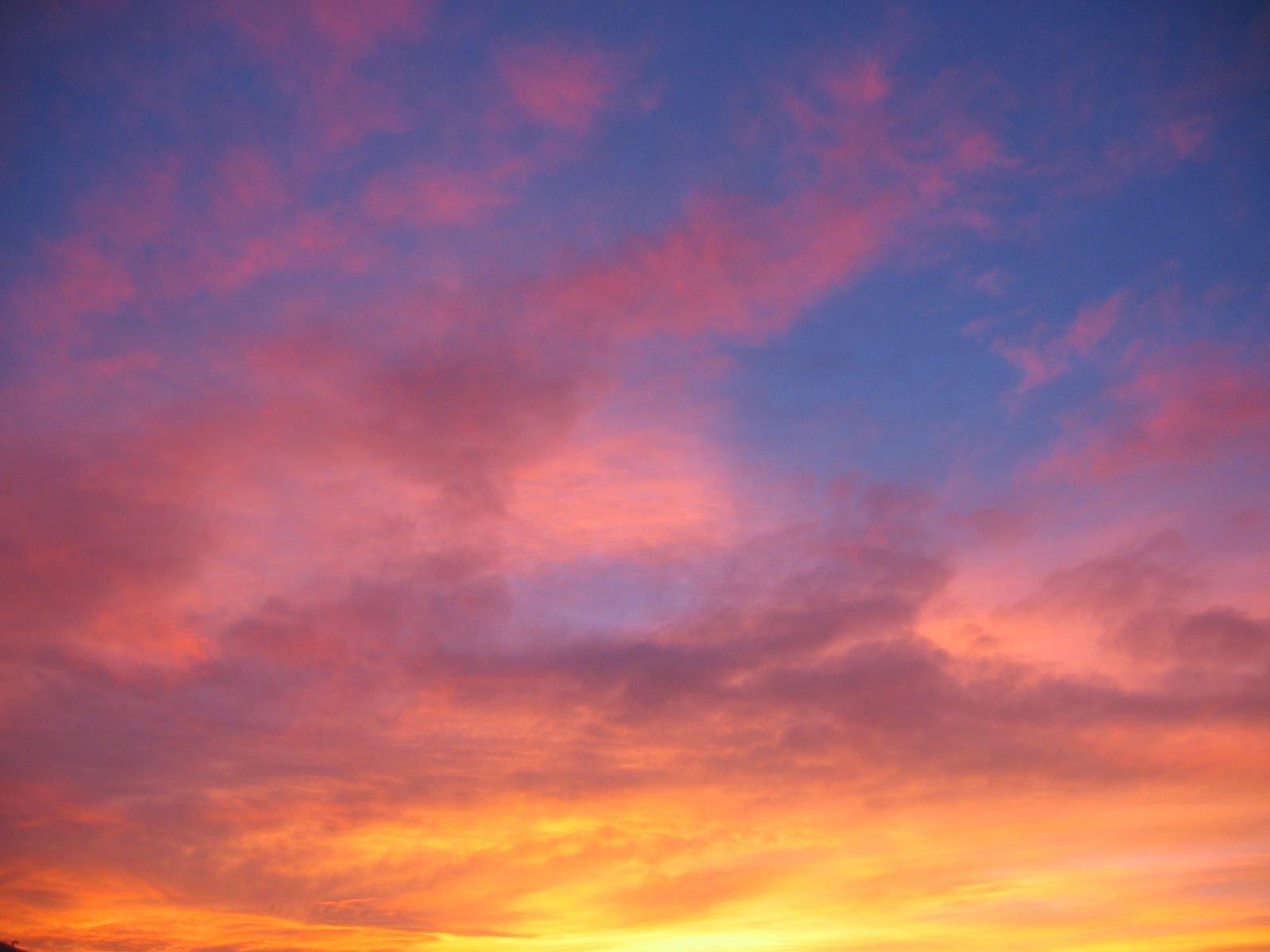 Sunsets: Pretty Sunset Wellington Cool Dusk Full HD 1080p Background