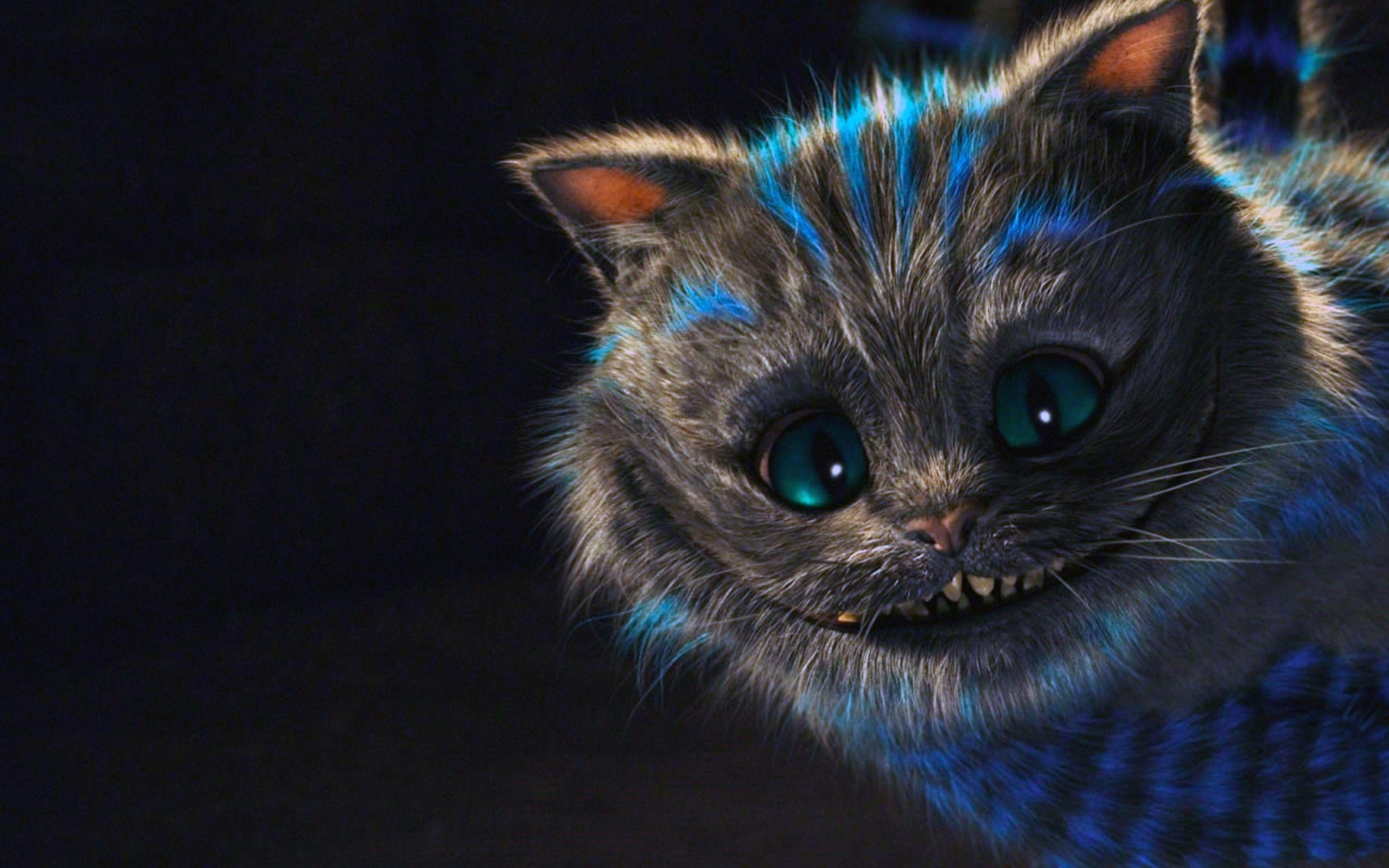 HD cheshire cat picture tumblr