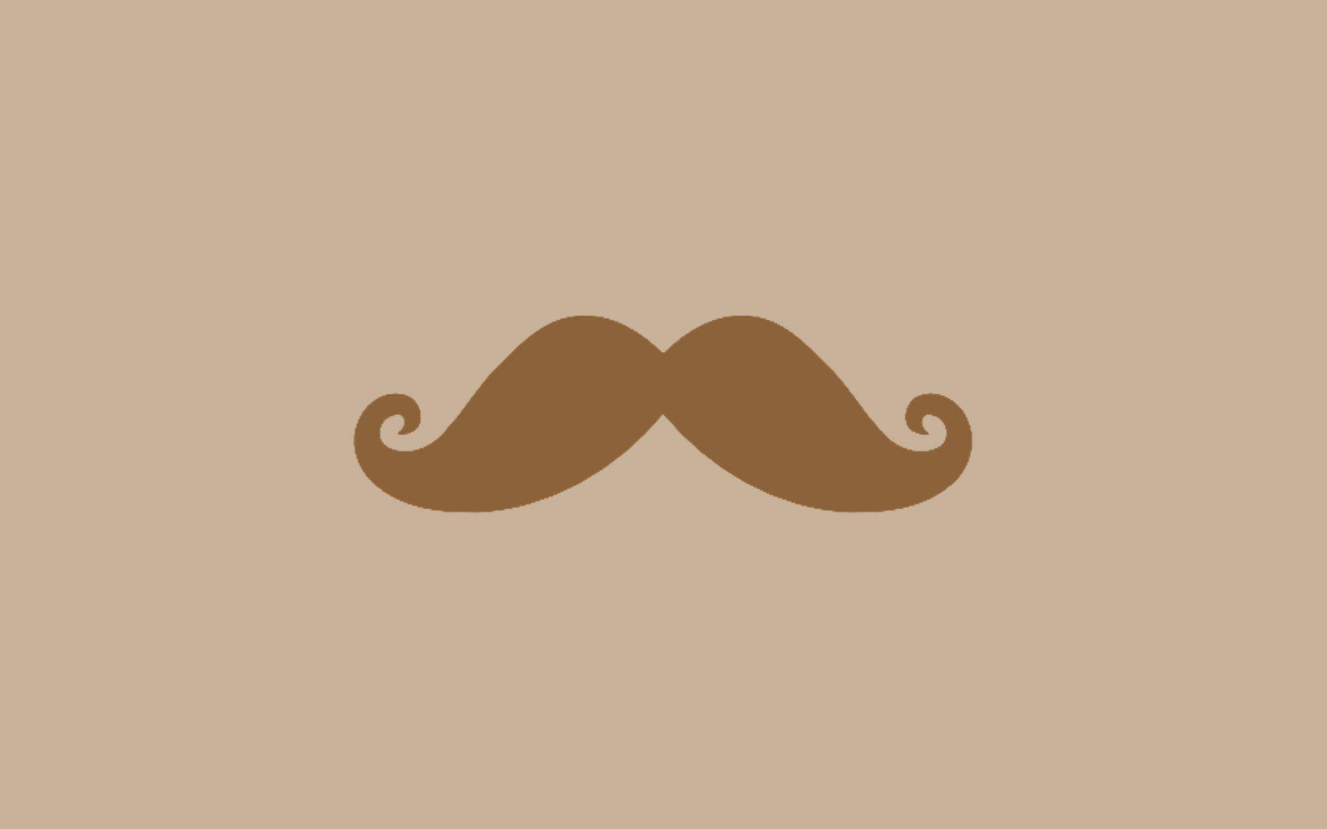 Moustache HD Wallpaper