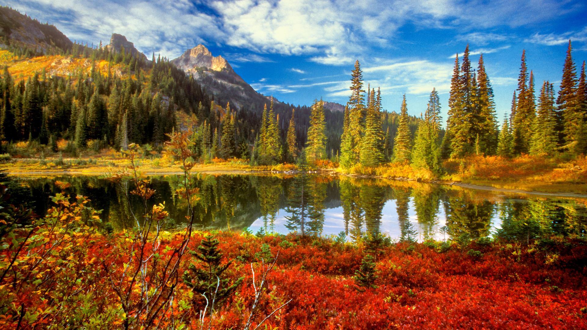 170 nature full hd wallpapers 1920x1080 170 nature full hd wallpapers 1920x1080