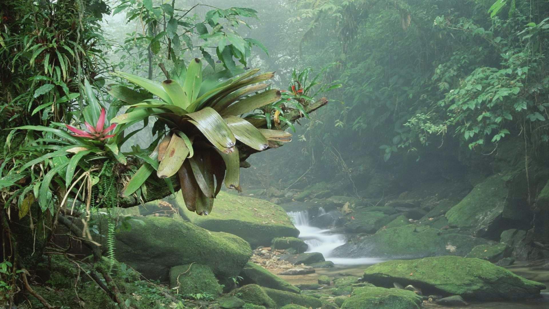 Brazil Desktop Wallpaper HD