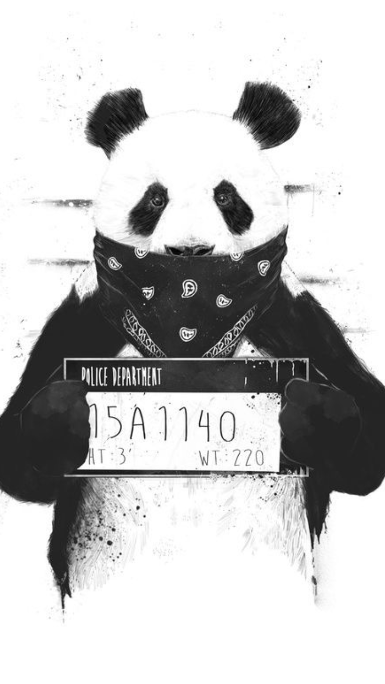 Gangster Panda. ♥Art♥Art♥Art♥ en 2018. Panda art