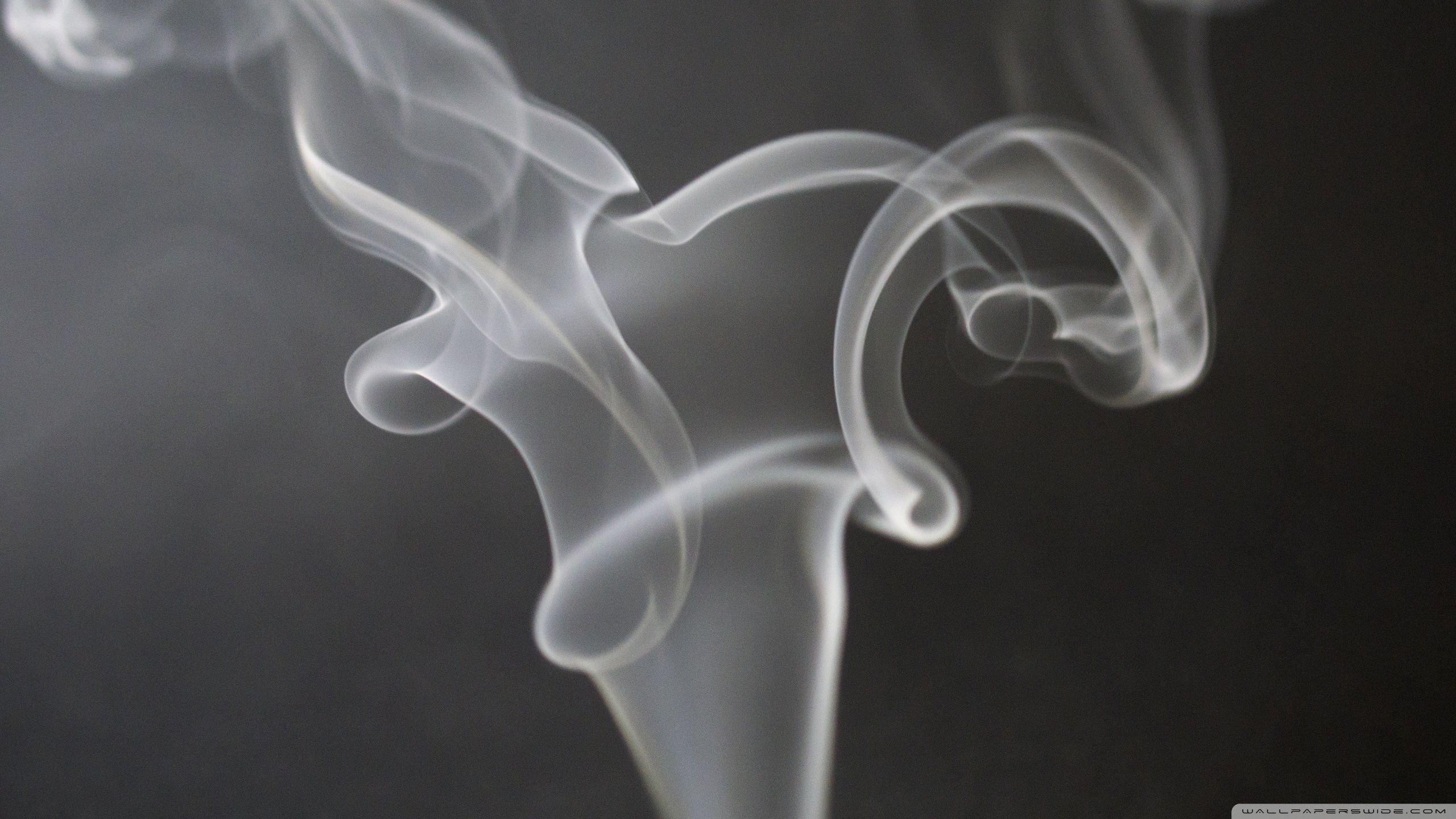 Smoke ❤ 4K HD Desktop Wallpaper for 4K Ultra HD TV • Wide & Ultra