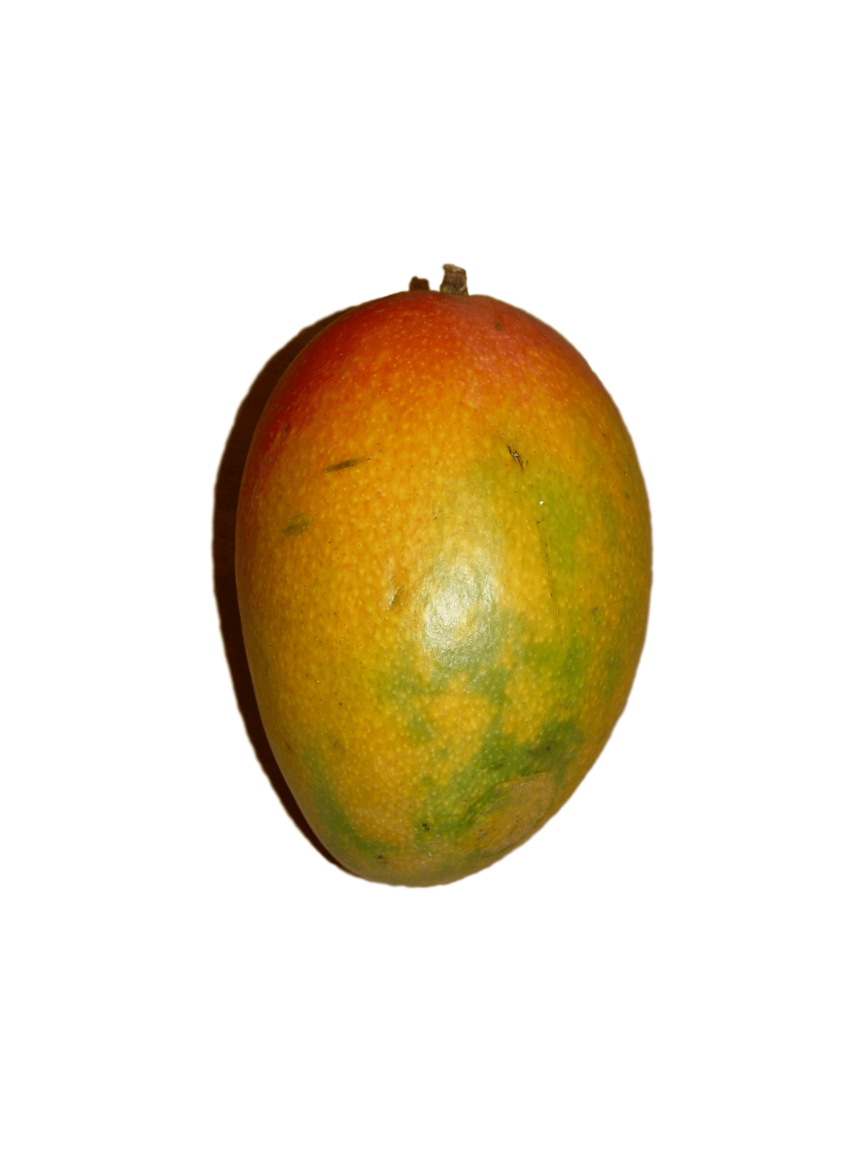 Mango on a white background.png