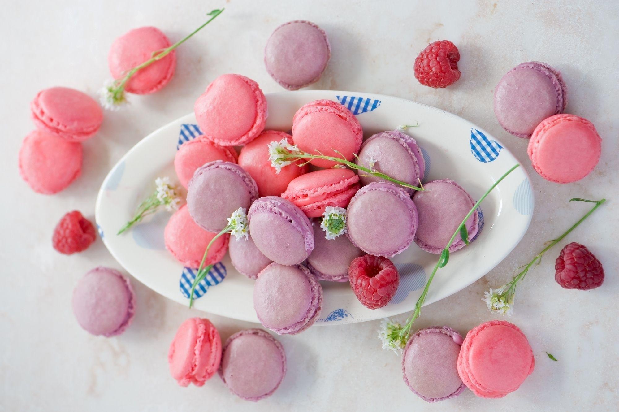 Macaron Full HD Wallpaper and Background Imagex1331