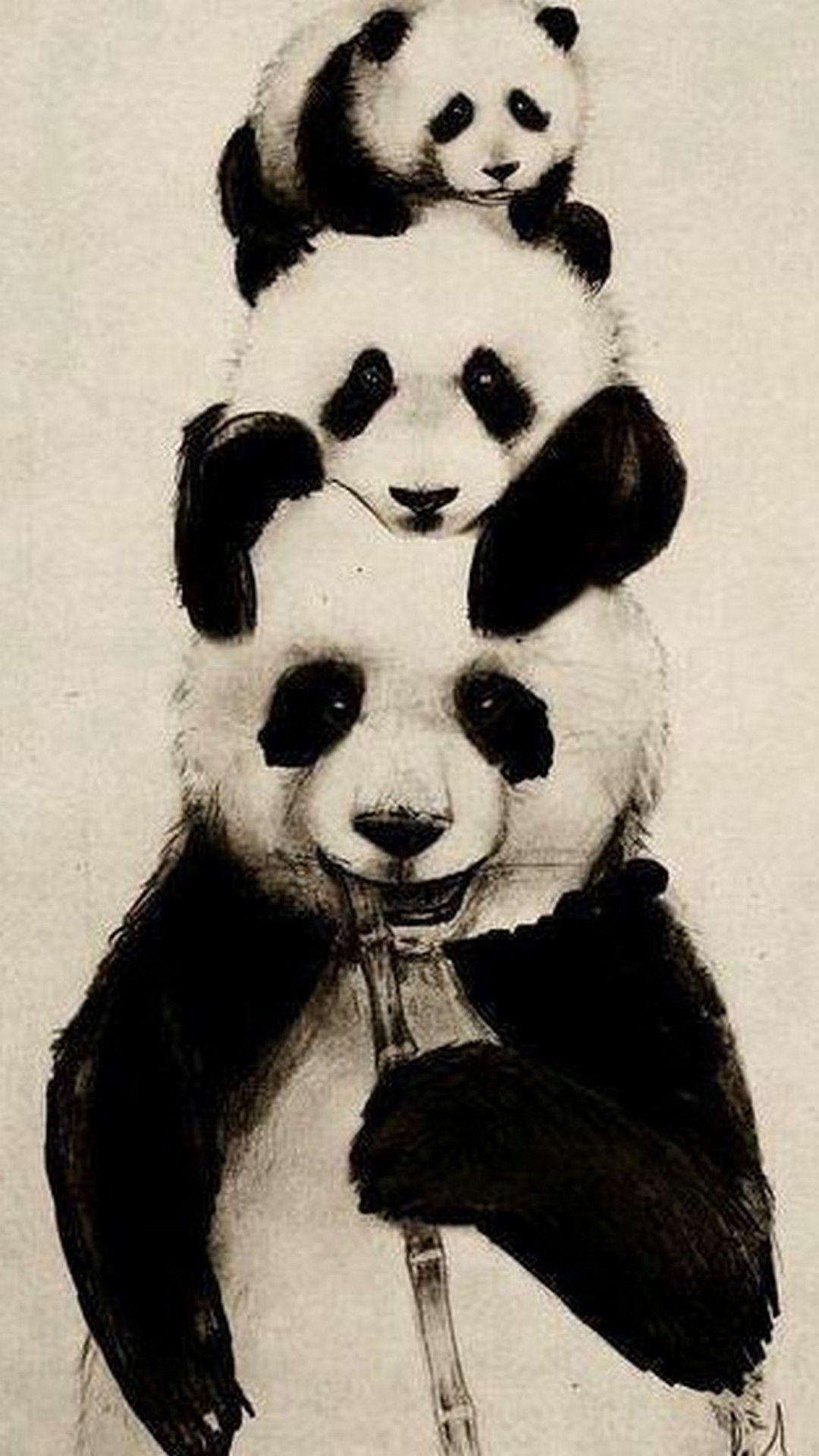 Cute Panda Wallpaper Android. Best HD Wallpaper. Cute panda wallpaper, Panda wallpaper, Panda art