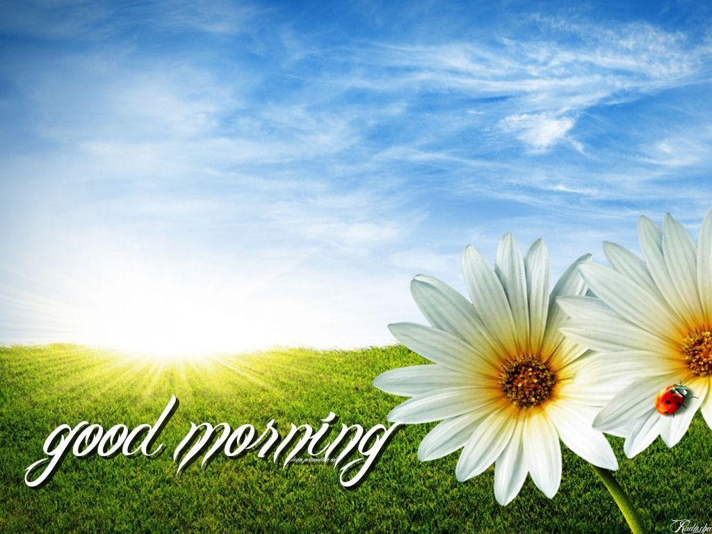 Good Morning Wallpaper HD Picture