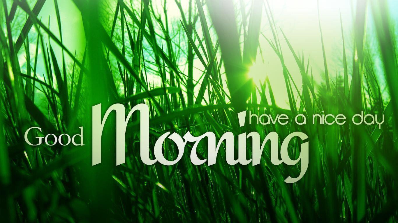 Free HD Green Nature Good Morning Wallpaper Download