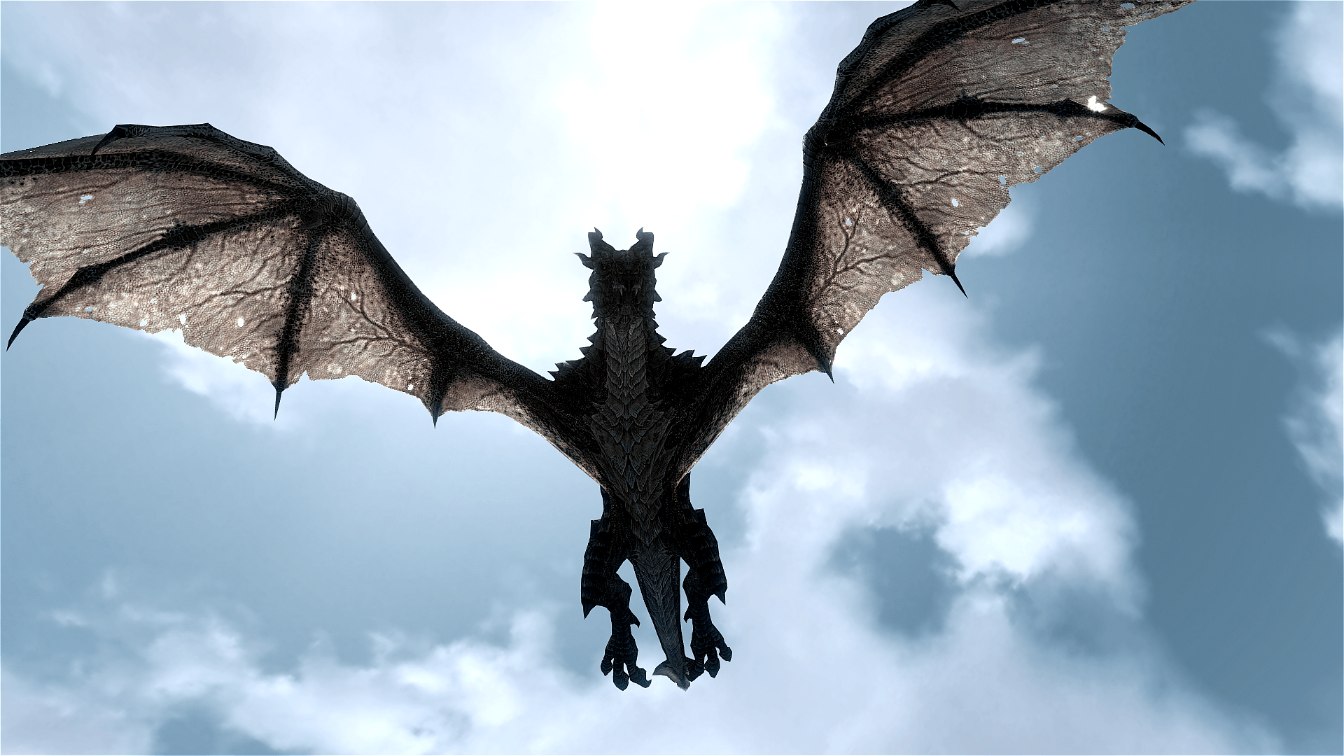In the clouds flying dragon wallpaper and image