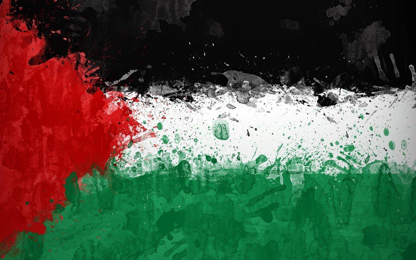 Palestine, Flag Wallpaper HD / Desktop and Mobile Background