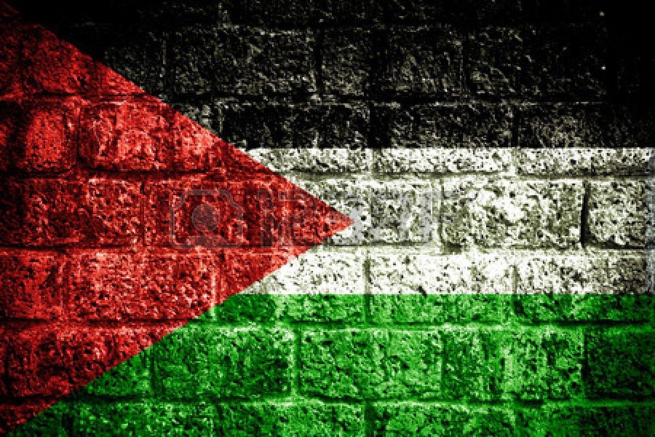 Help me raise money for Ottawa Run for Palestine Chabayta's