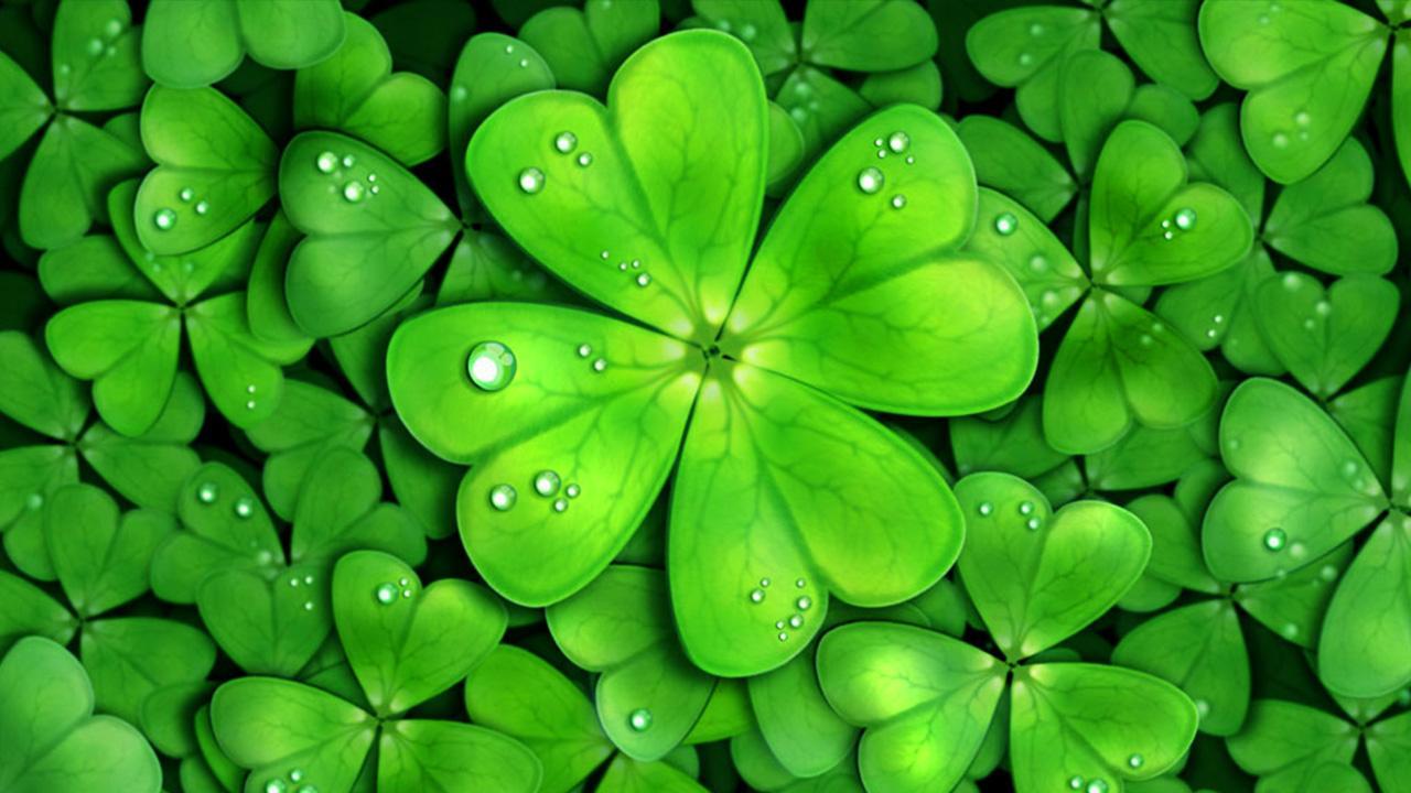 Four Leaf Clover Lucky Wallpaper Download | MobCup