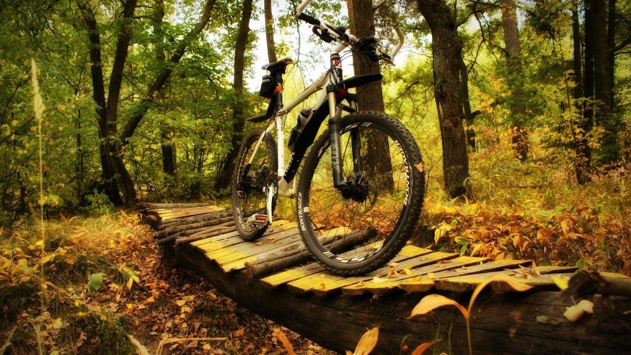 hd wallpaper sport bike forest trek on the picture