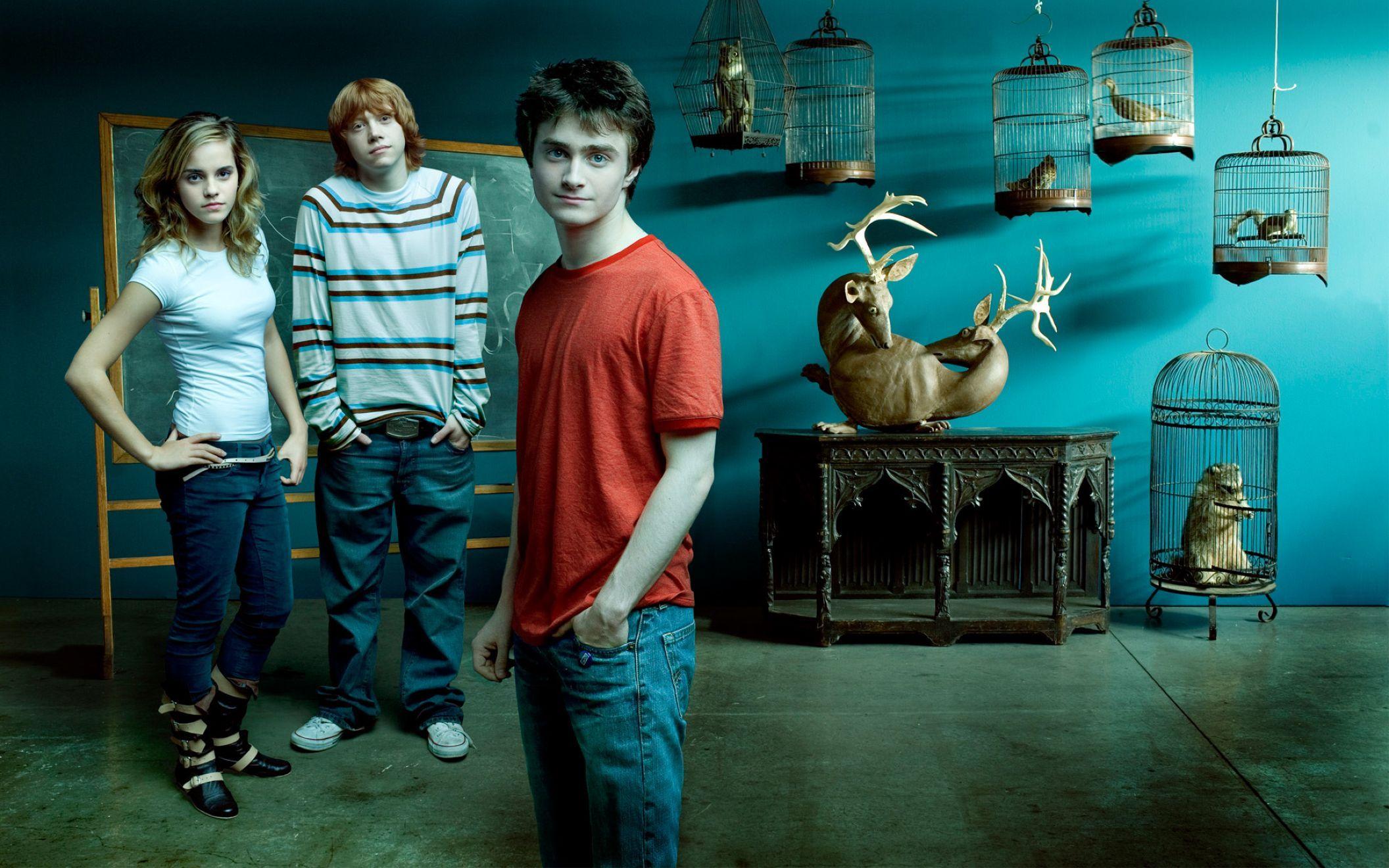 Emma Watson With Harry Potter Movie Crew HD Wide Wide Wallpaper