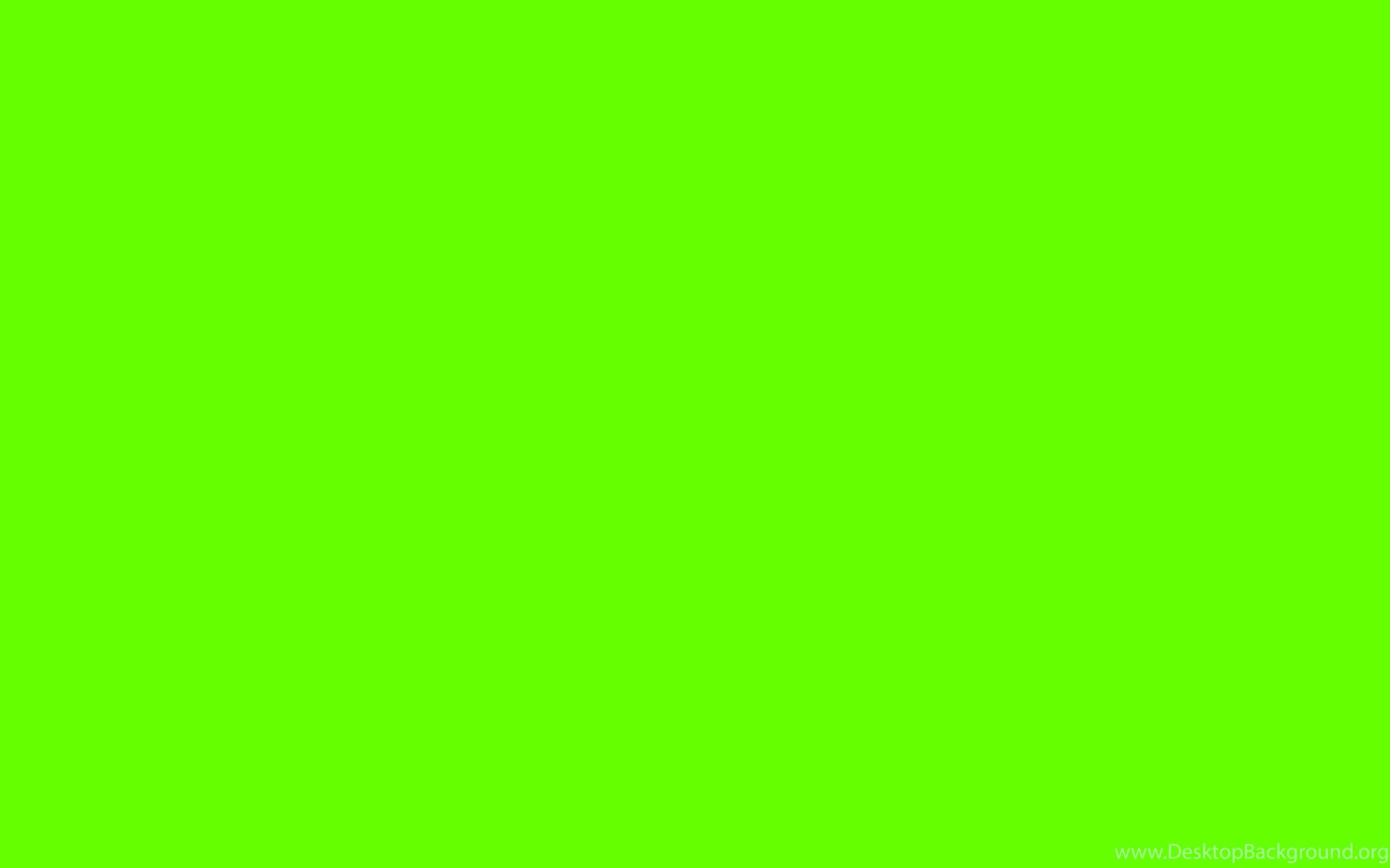 Bright Green Solid Color Background Desktop Background