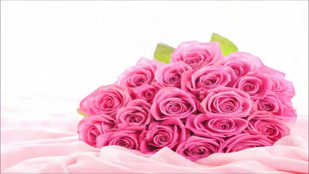 Special Pink Rose HD Wallpaper Image