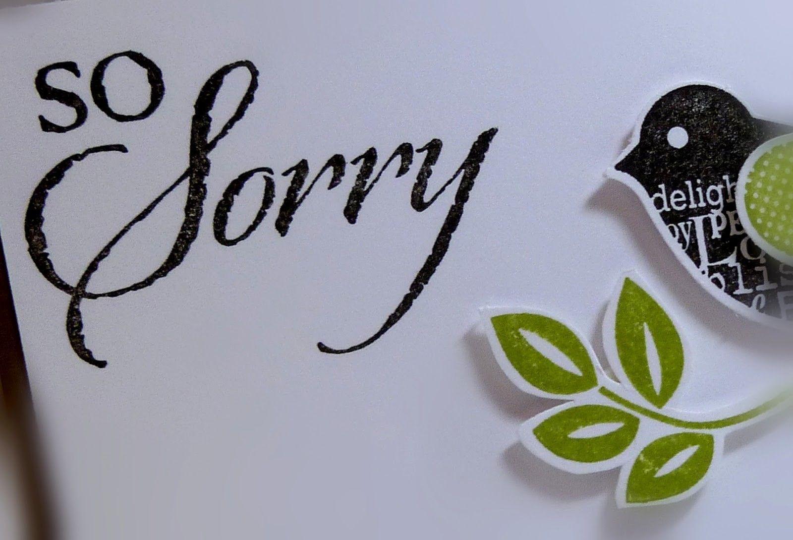 Sorry Wallpaper Live Image, HD Wallpaper