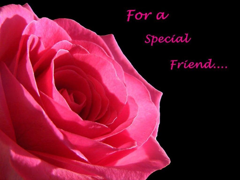 Flowers Special Friend Fran Gratitude Friendship Thank Rose Friends