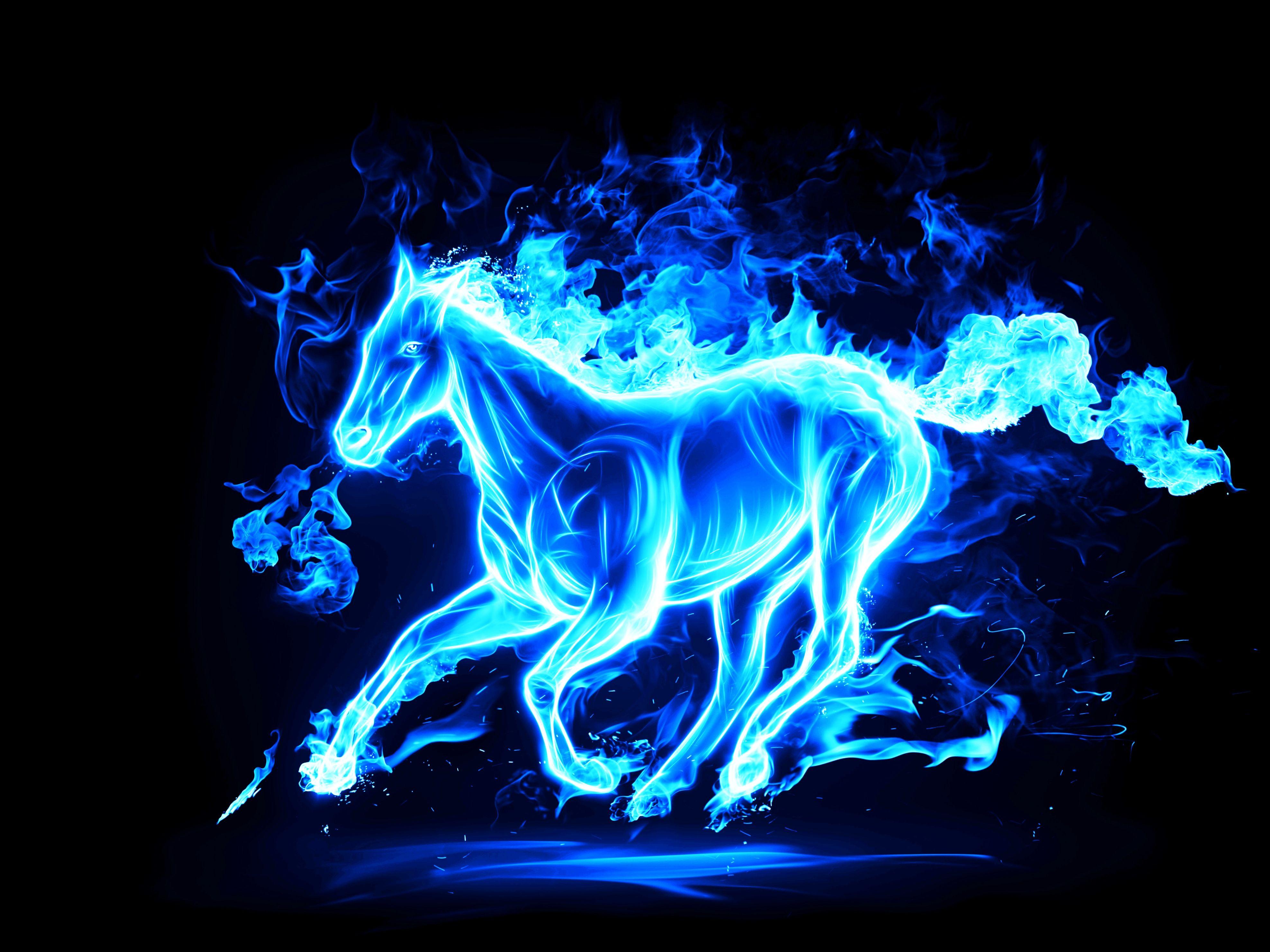 Horse a Blue Fire Wallpaper HD / Desktop and Mobile Background