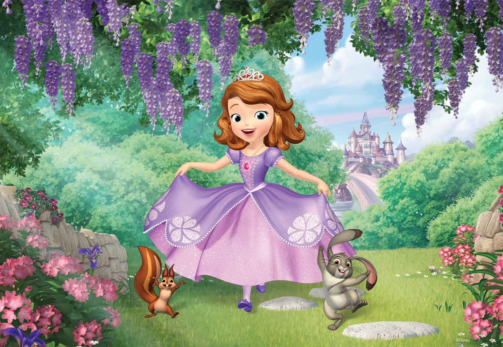 sofia the first background