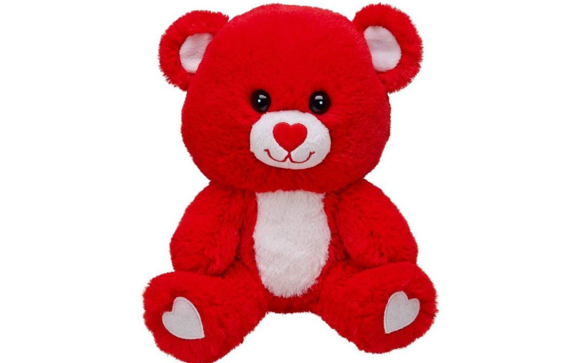 cute red teddy