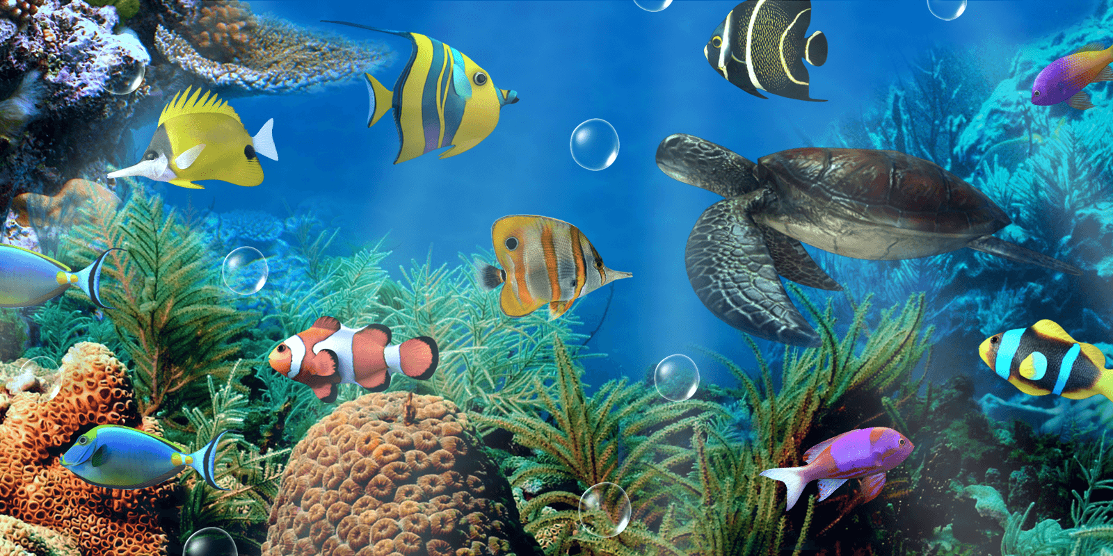 desktop aquarium 3d mac live wallpaper