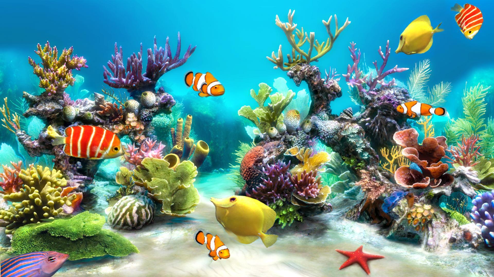 Wallpaper.wiki 3D Desktop Aquarium Wallpaper PIC WPB004724
