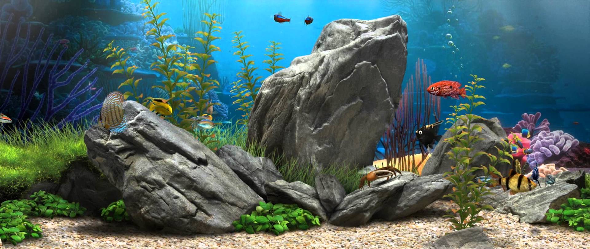 3D Fish Aquarium:9 [Live Wallpaper] - (1080p)