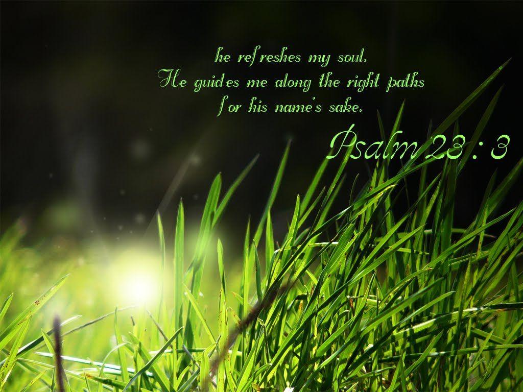 Christian Wallpaper: Psalm 23:3