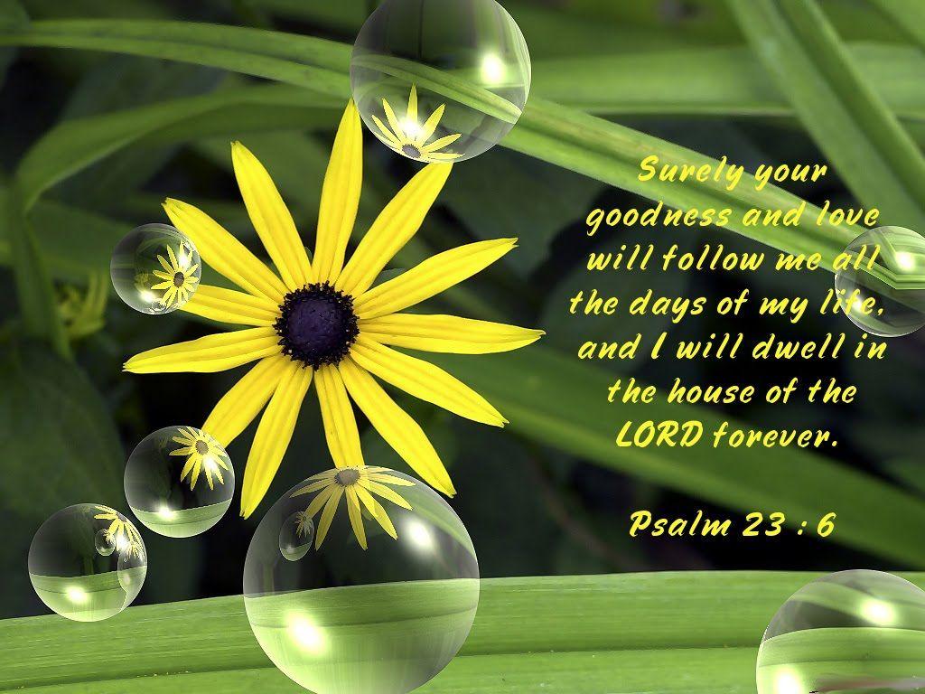 Christian Wallpaper: Psalm 23:6